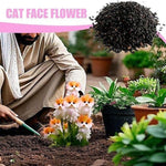 Cat Eye Dazzle Seeds + Plant Growth Serum Free image 3